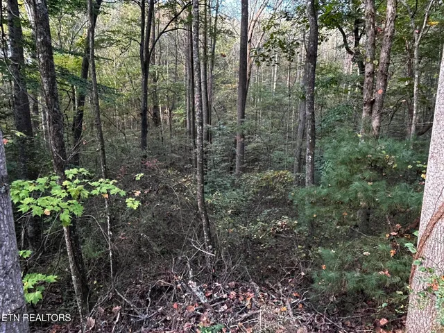$35,000 | Lot 13 Trenton Lane, Clinton, TN 37716