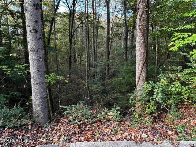 $35,000 | Lot 13 Trenton Lane, Clinton, TN 37716