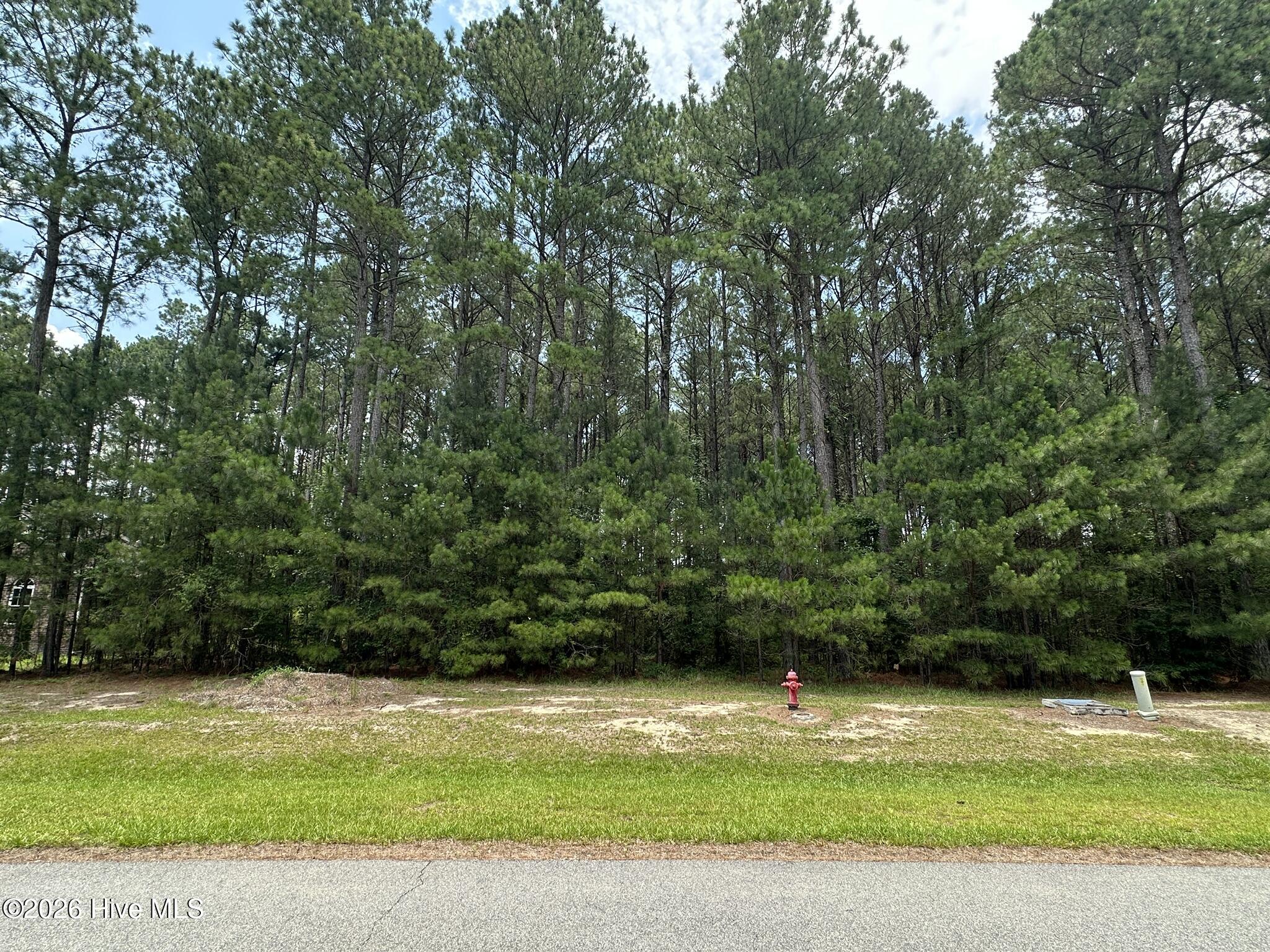 437 Riversound Drive Edenton, NC 27932 - Photo 2 of 6
