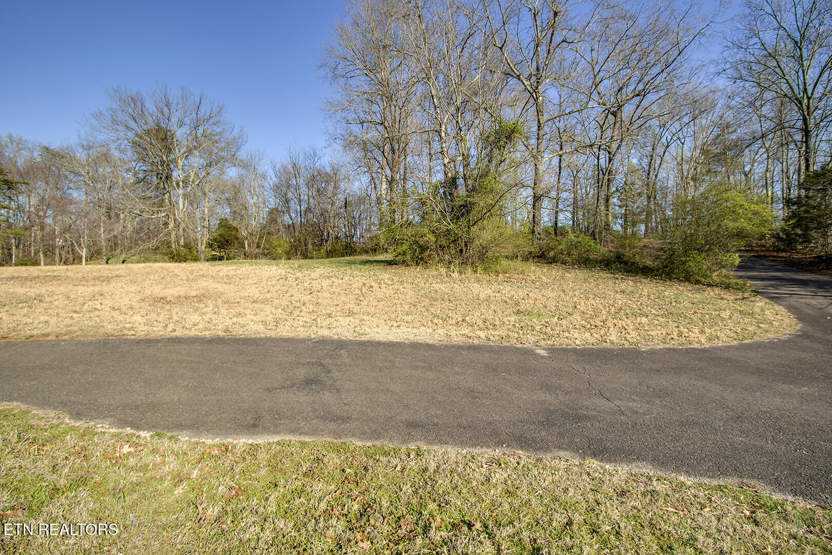 Lot 7 Willow Trace Athens, TN 37303 - Photo 2 of 15 02_WillowTrace_Lot7_Street_E