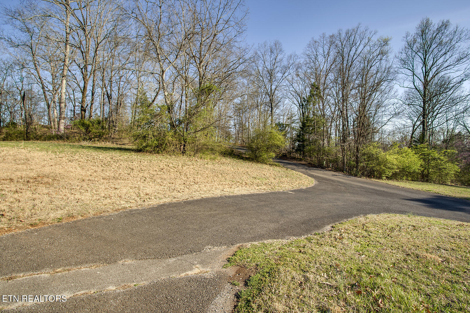 Lot 7 Willow Trace Athens, TN 37303 - Photo 4 of 15 04_WillowTrace_Lot7_Street_S
