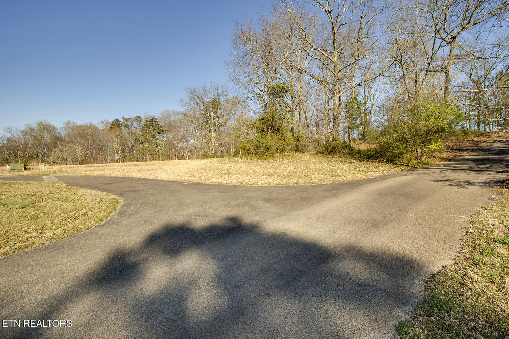 Lot 7 Willow Trace Athens, TN 37303 - Photo 6 of 15 06_WillowTrace_Lot7_Street_N