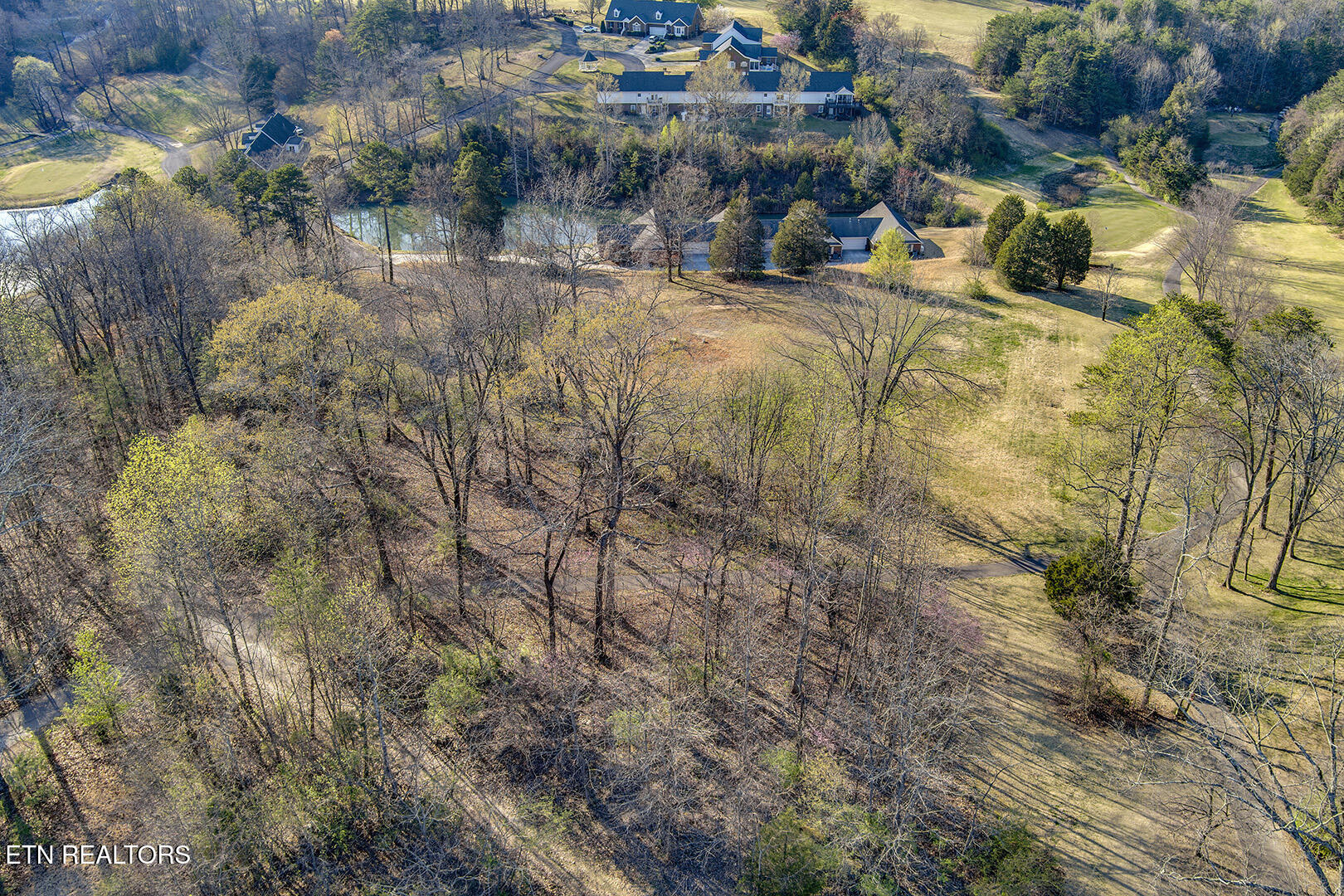 Lot 7 Willow Trace Athens, TN 37303 - Photo 7 of 15 07_WillowTrace_Lot7_LotBackElevated_W