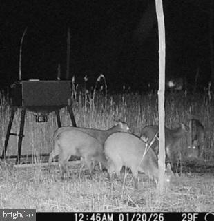 7 Mt Vernon Road Princess Anne, MD 21853 - Photo 12 of 59