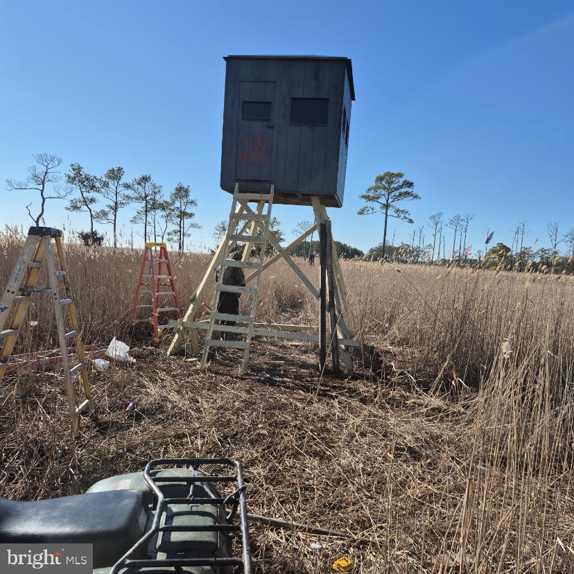 7 Mt Vernon Road Princess Anne, MD 21853 - Photo 14 of 59