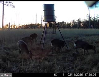 7 Mt Vernon Road Princess Anne, MD 21853 - Photo 17 of 59