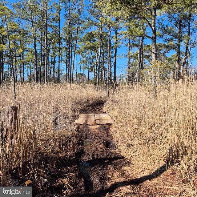 7 Mt Vernon Road Princess Anne, MD 21853 - Photo 24 of 59