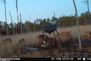 7 Mt Vernon Road Princess Anne, MD 21853 - Photo 3 of 59