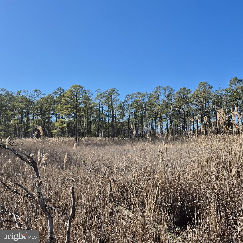 7 Mt Vernon Road Princess Anne, MD 21853 - Photo 39 of 59