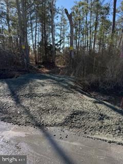 7 Mt Vernon Road Princess Anne, MD 21853 - Photo 4 of 59