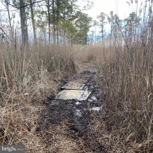 7 Mt Vernon Road Princess Anne, MD 21853 - Photo 49 of 59