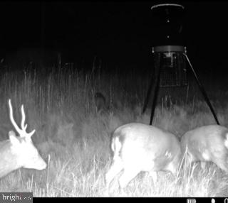 7 Mt Vernon Road Princess Anne, MD 21853 - Photo 50 of 59