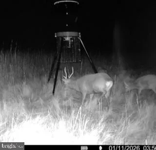 $109,000 | 7 Mt Vernon Road, Princess Anne, MD 21853