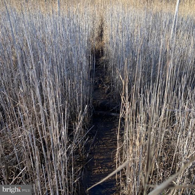 7 Mt Vernon Road Princess Anne, MD 21853 - Photo 55 of 59