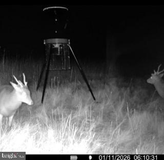 7 Mt Vernon Road Princess Anne, MD 21853 - Photo 56 of 59