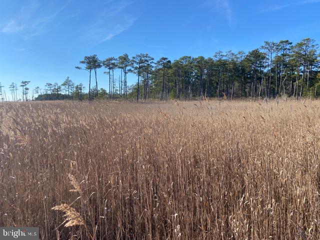 7 Mt Vernon Road Princess Anne, MD 21853 - Photo 58 of 59