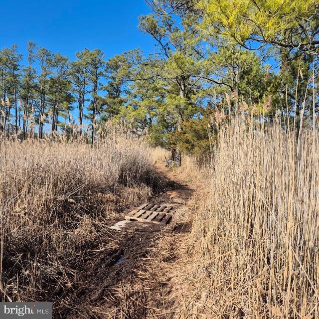 7 Mt Vernon Road Princess Anne, MD 21853 - Photo 8 of 59