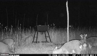 7 Mt Vernon Road Princess Anne, MD 21853 - Photo 9 of 59