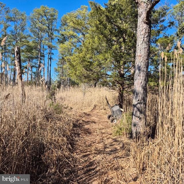 7 Mt Vernon Road Princess Anne, MD 21853 - Photo 10 of 59