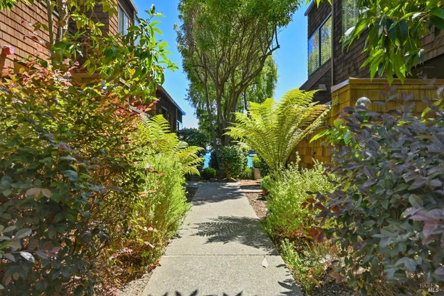a view of a pathway both side of yard