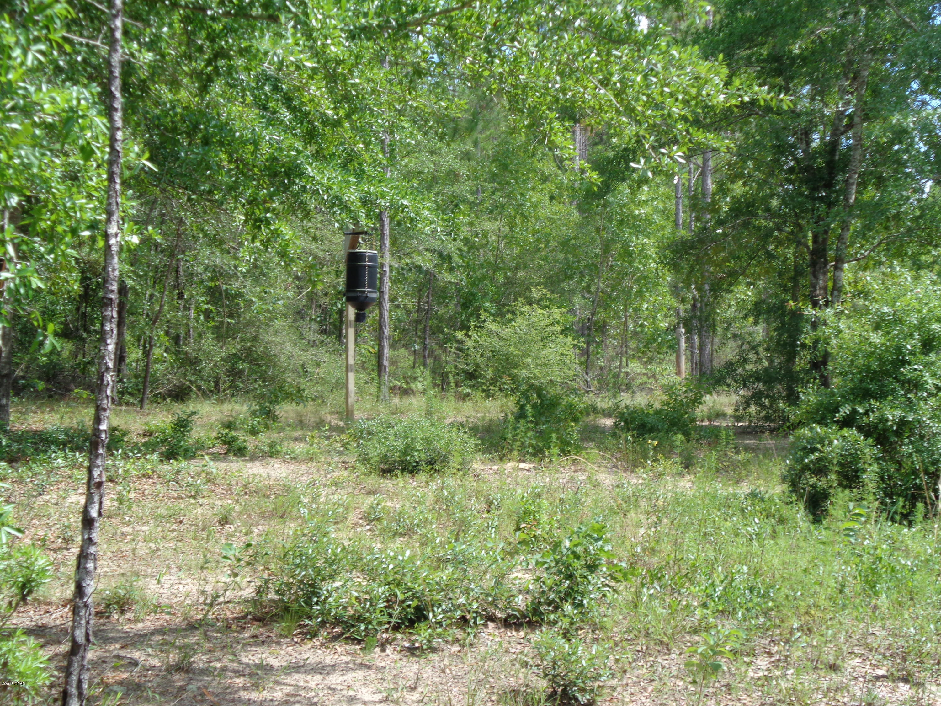 1606 Pioneer Road Chipley, FL 32428 - Photo 13 of 21 Gallery Image 13