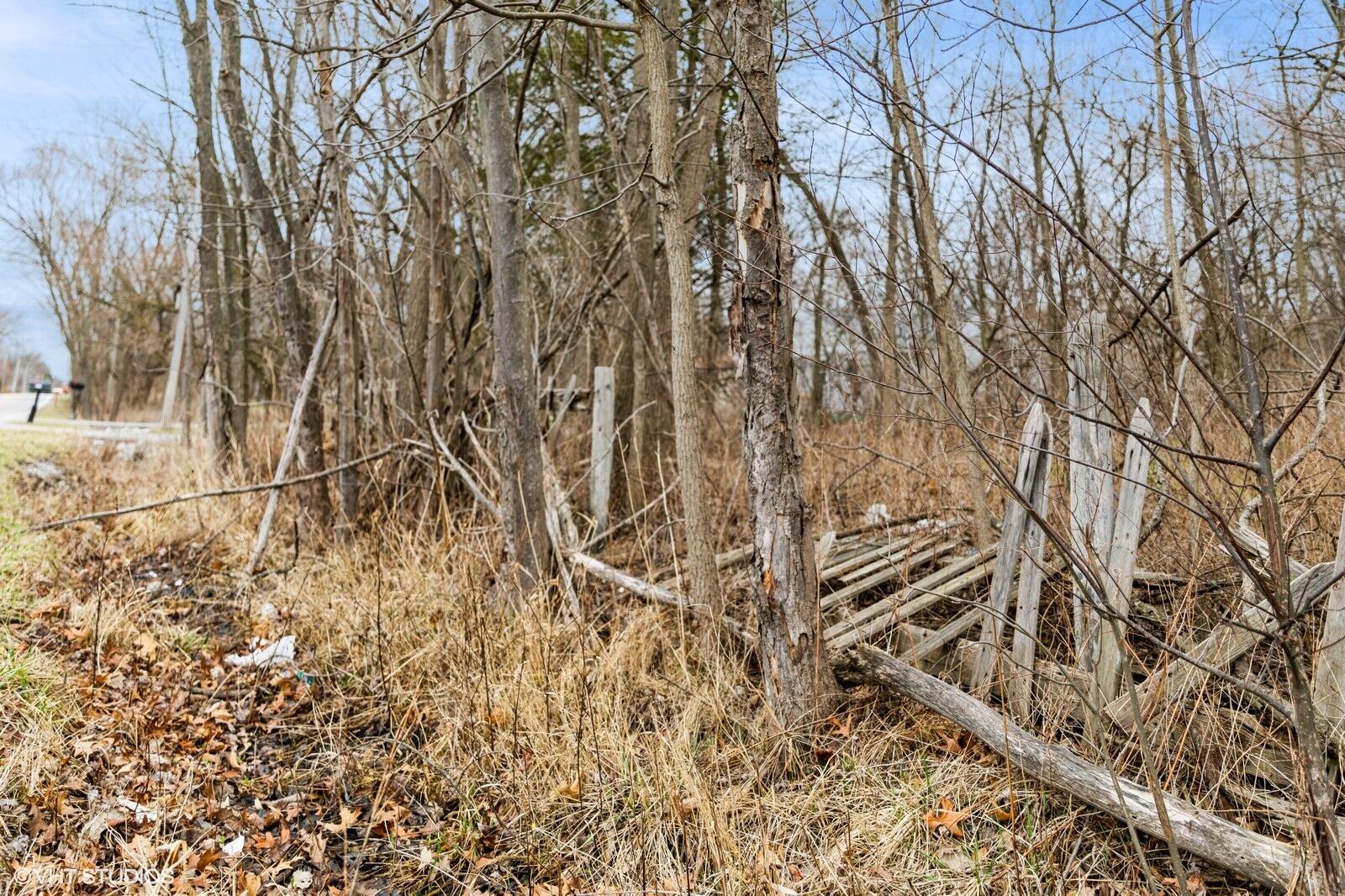 8317 Austin Avenue Schererville, IN 46375 - Photo 3 of 6 a backyard of a house with lots of green space