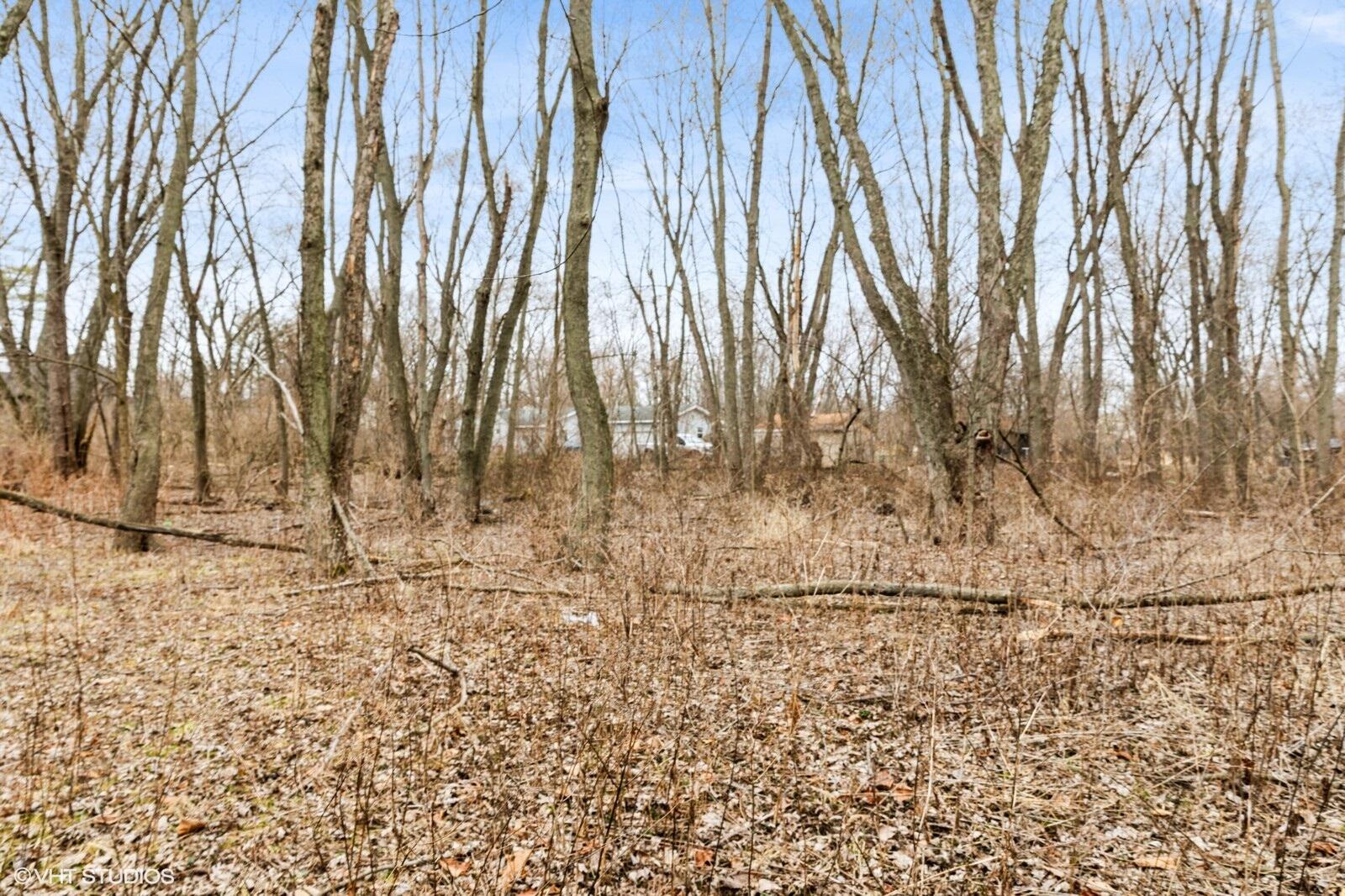 8317 Austin Avenue Schererville, IN 46375 - Photo 5 of 6