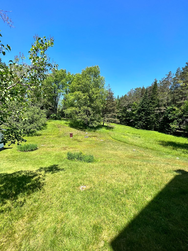 35 Trudeau Road Saranac Lake, NY 12983 - Photo 25 of 25 Gallery Image 25