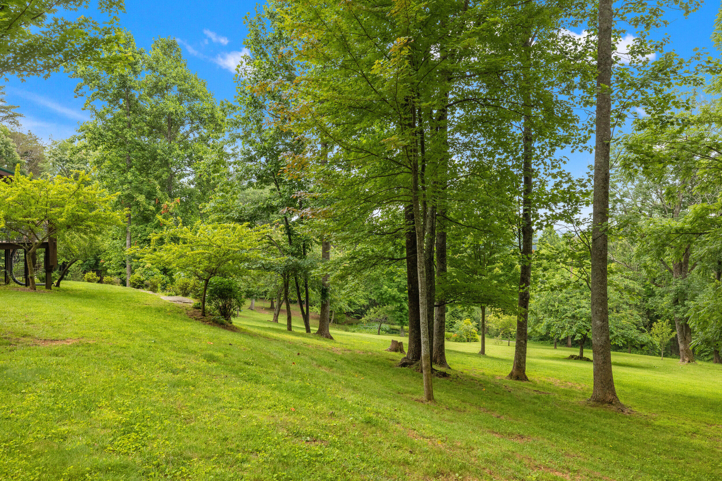 1564 High Ridge Road Middleburg, KY 42541 - Photo 67 of 79 47_1h4a4699
