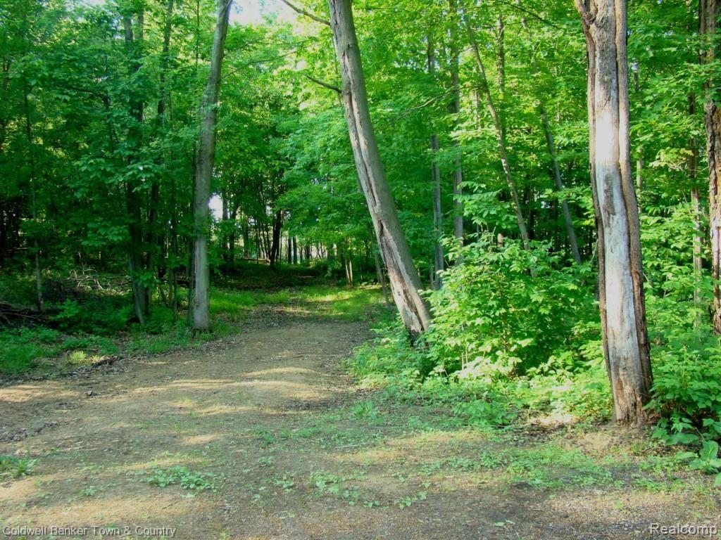360 Harmon Road Howell, MI 48843 - Photo 33 of 34
