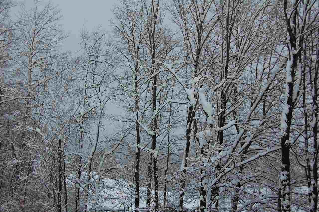102 Upper Phase Road, Unit 61 Warren, VT 05674 - Photo 9 of 26
