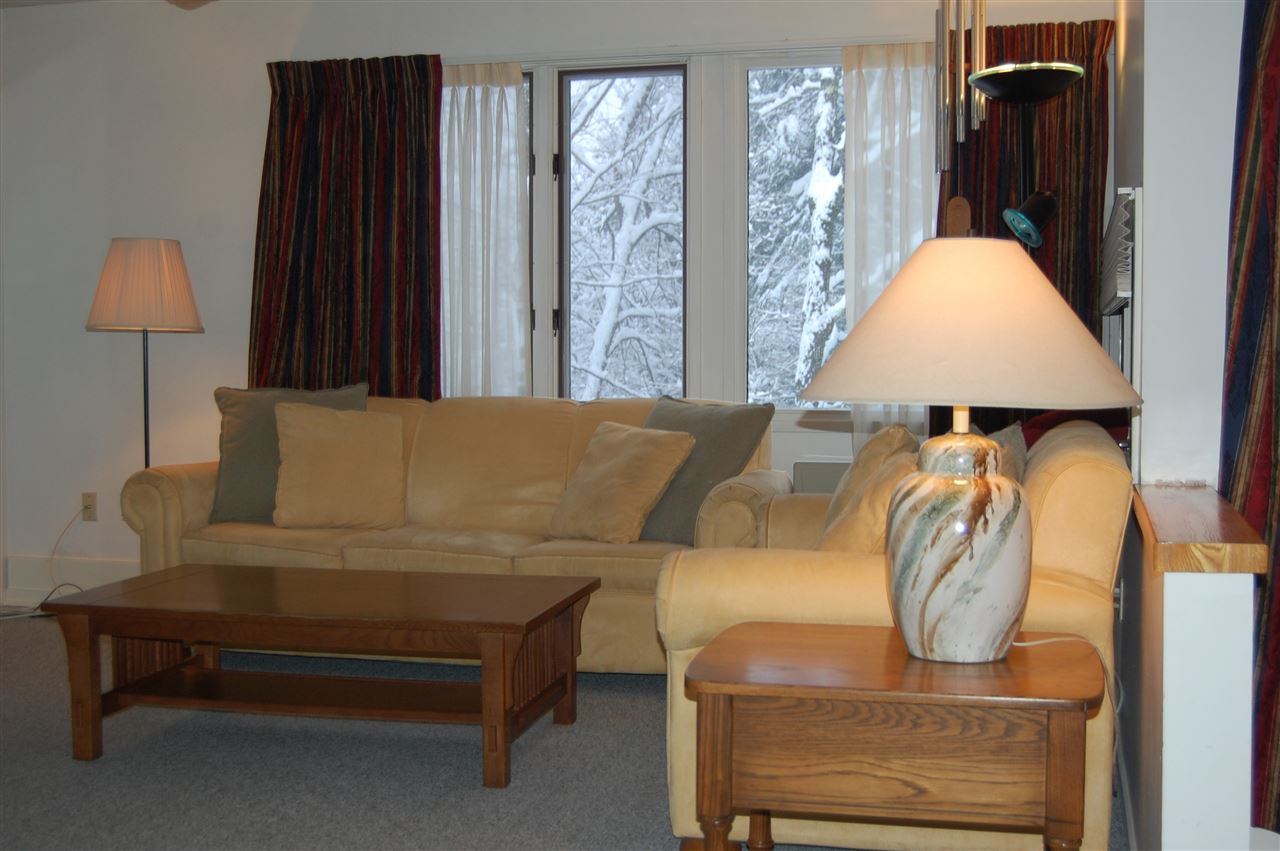 102 Upper Phase Road, Unit 61 Warren, VT 05674 - Photo 10 of 26