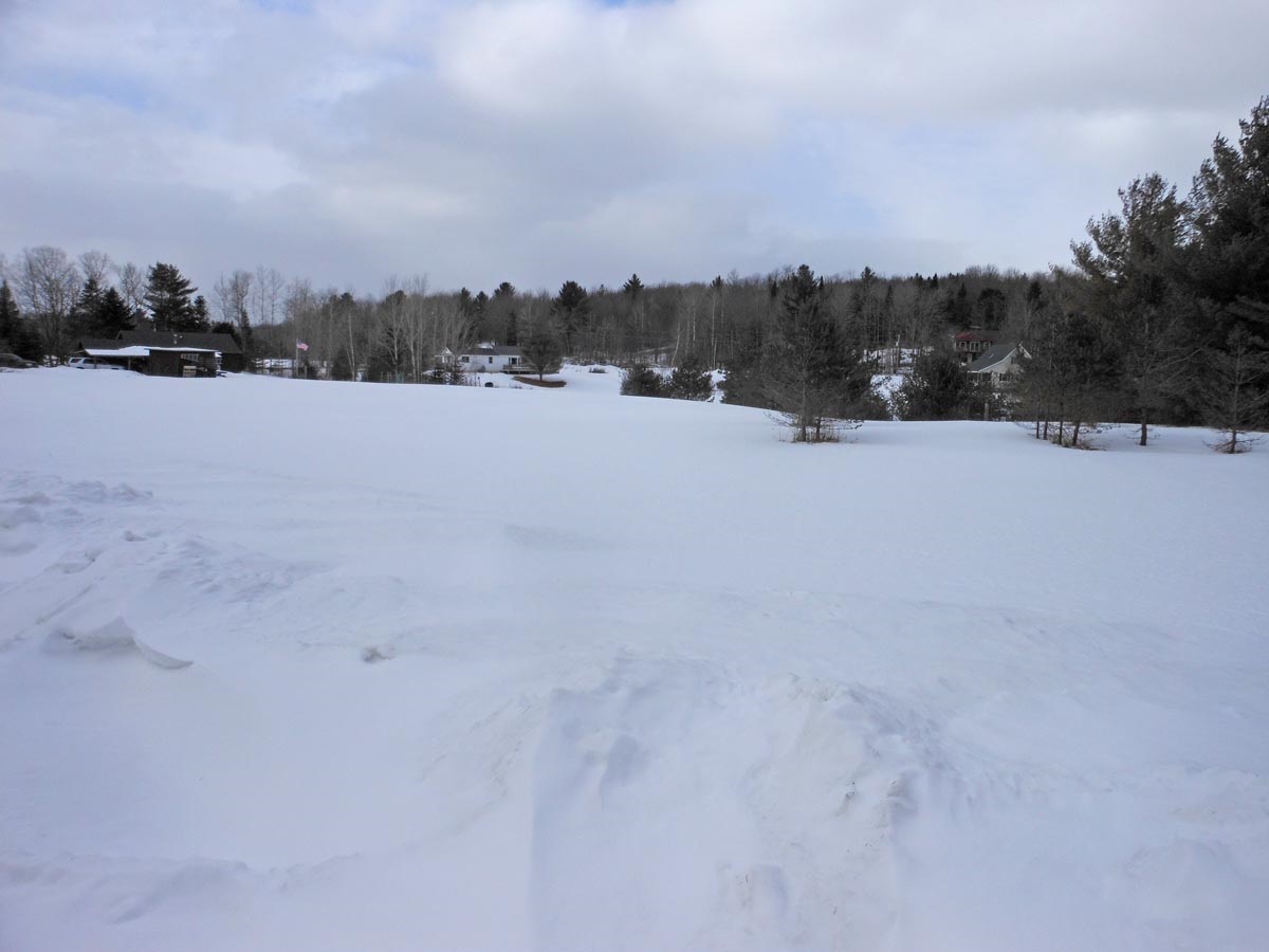Lot 4 North Road Eden, VT 05653 - Photo 3 of 4
