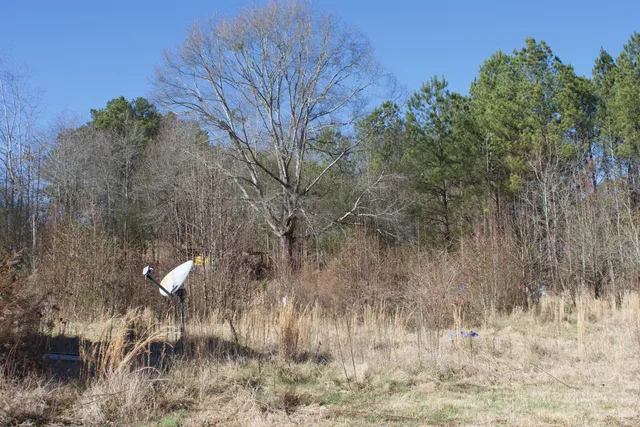 $150,000 | 371 Thomas Bluff Road Northeast, Rome, GA 30161