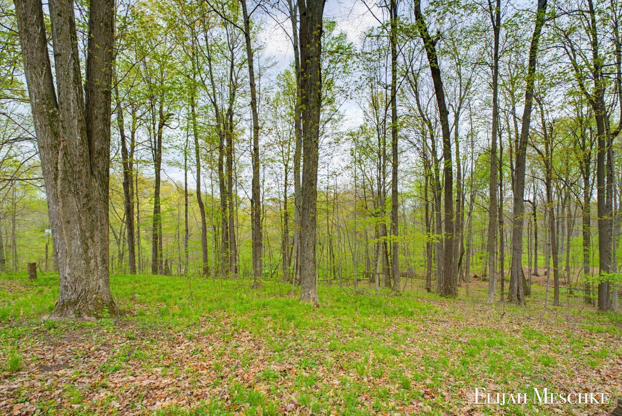 2910 Tobias Road Hastings, MI 49058 - Photo 38 of 42 14-DSC03737