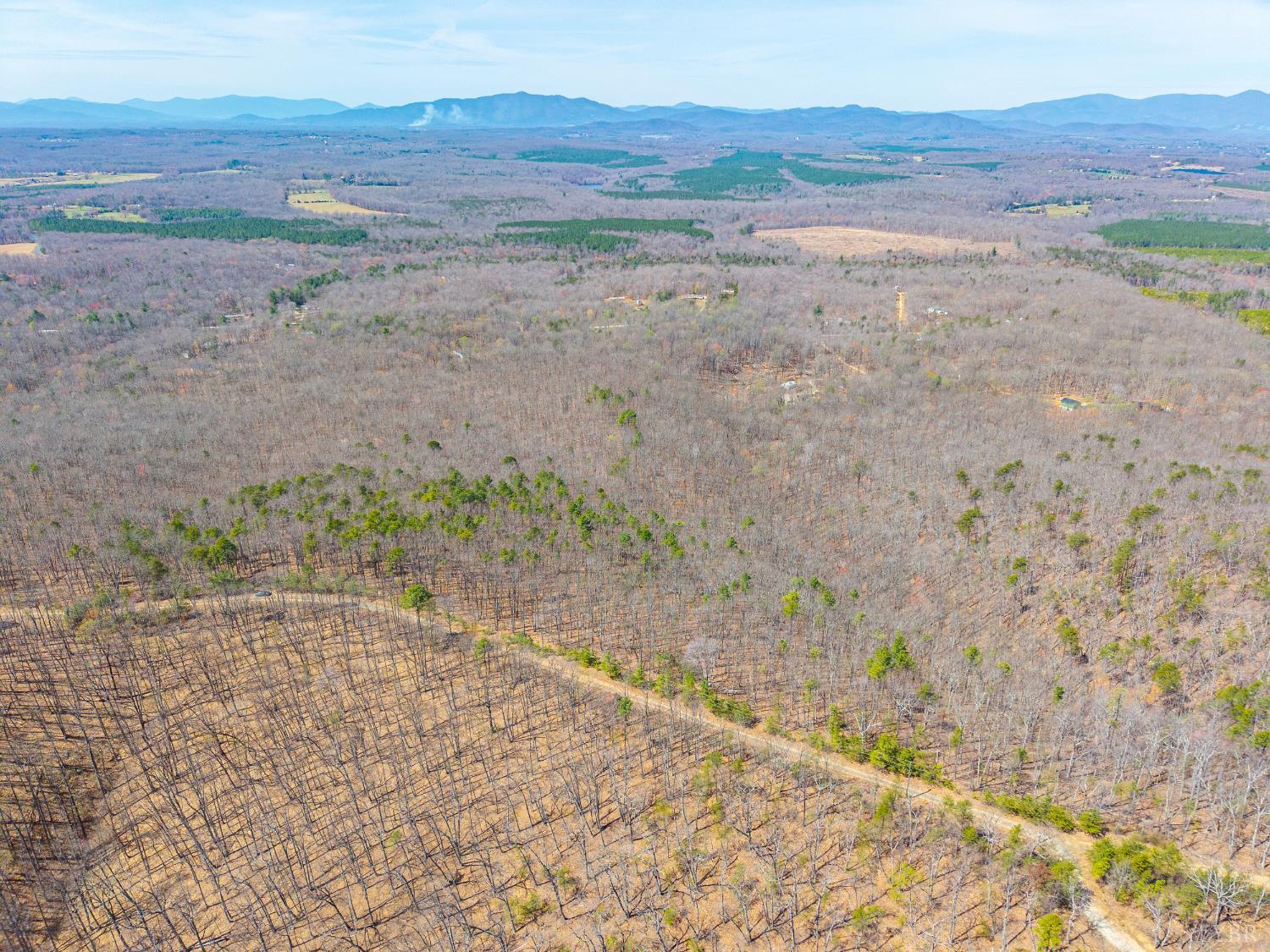 0 Larkin Mountain Road Amherst, VA 24521 - Photo 21 of 35