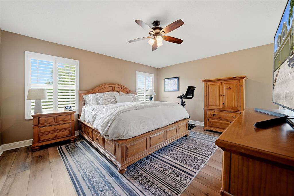 497 Harbor Ridge Drive Palm Harbor, FL 34683 - Photo 28 of 52
