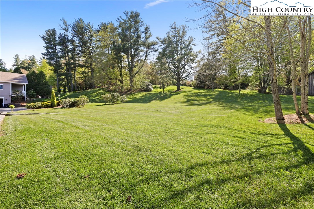 326 Ransom Street Blowing Rock, NC 28605 - Photo 23 of 25 a view of a field with an trees