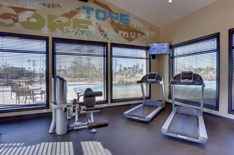 4710 Walnut Willow Ct Spring Spring, TX 77386 - Photo 40 of 42