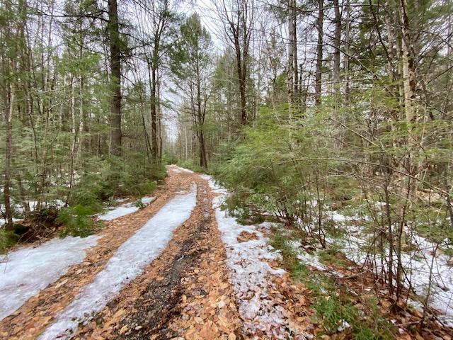 0 Hobbs Swamp Road Parsonsfield, ME 04047 - Photo 9 of 10 IMG_1104