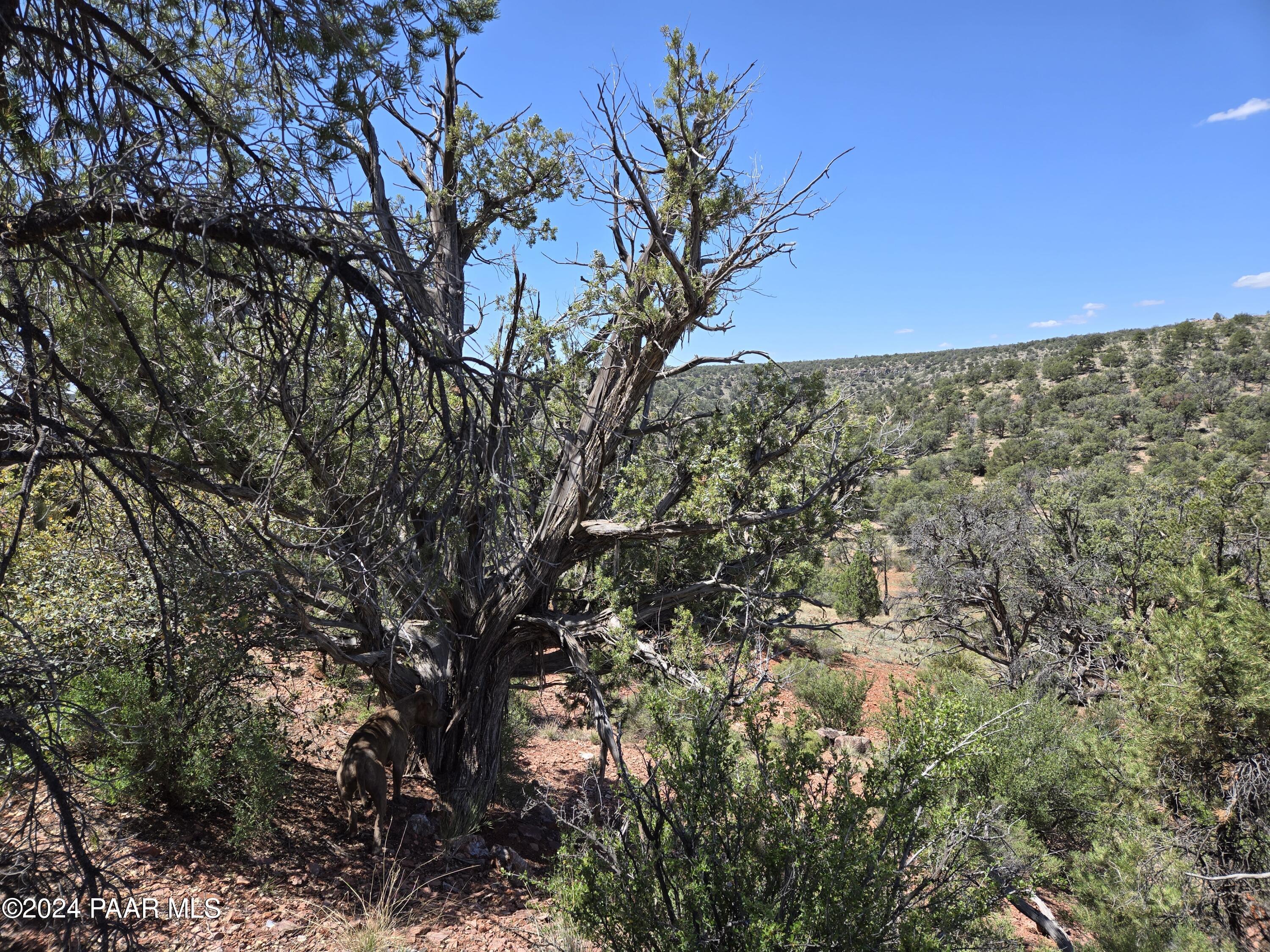 125-122 Off Arizona Road Ash Fork, AZ 86320 - Photo 14 of 18 20240504_110740