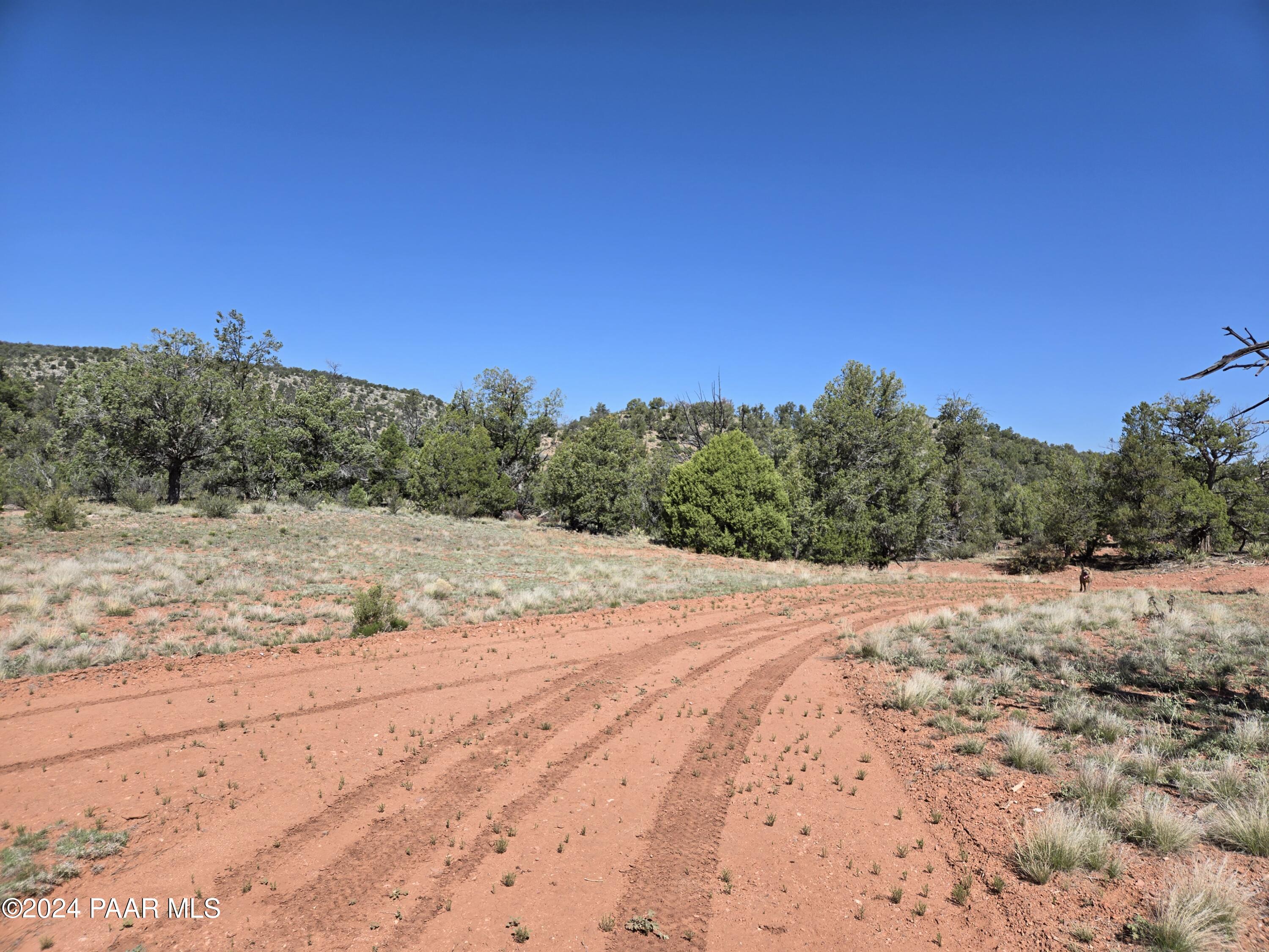 125-122 Off Arizona Road Ash Fork, AZ 86320 - Photo 15 of 18 20240504_100941