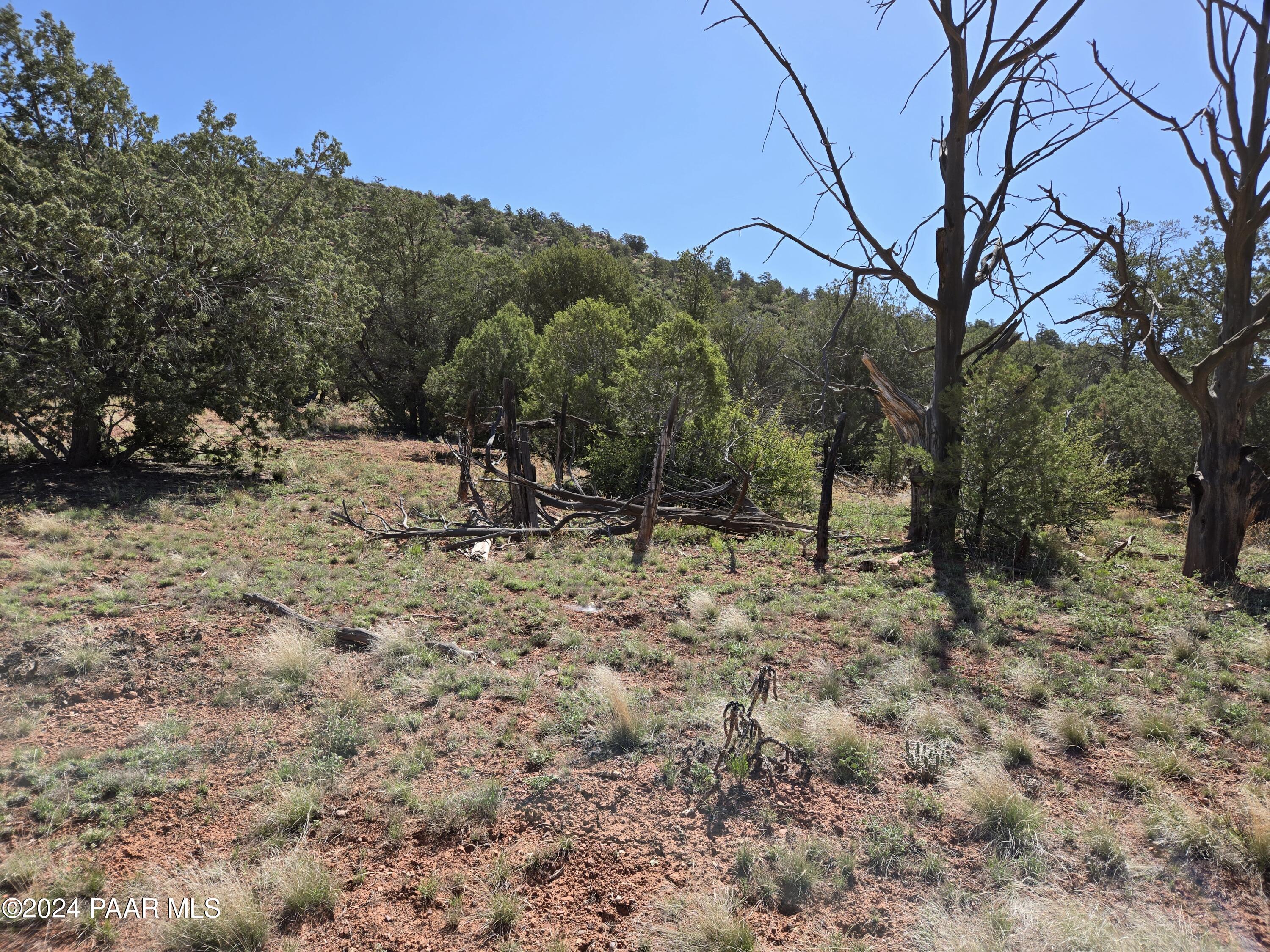125-122 Off Arizona Road Ash Fork, AZ 86320 - Photo 9 of 18 20240504_101006