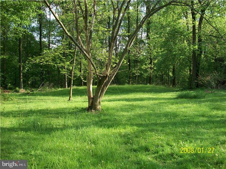 4402 Cemetery Road Parkesburg, PA 19365 - Photo 4 of 14 Back Yard