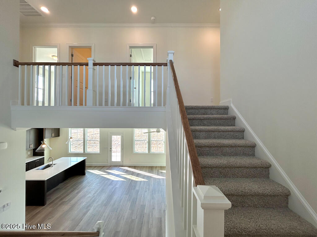 901 Wild Azalea Way Hubert, NC 28539 - Photo 36 of 65 IMG-5031-jpg