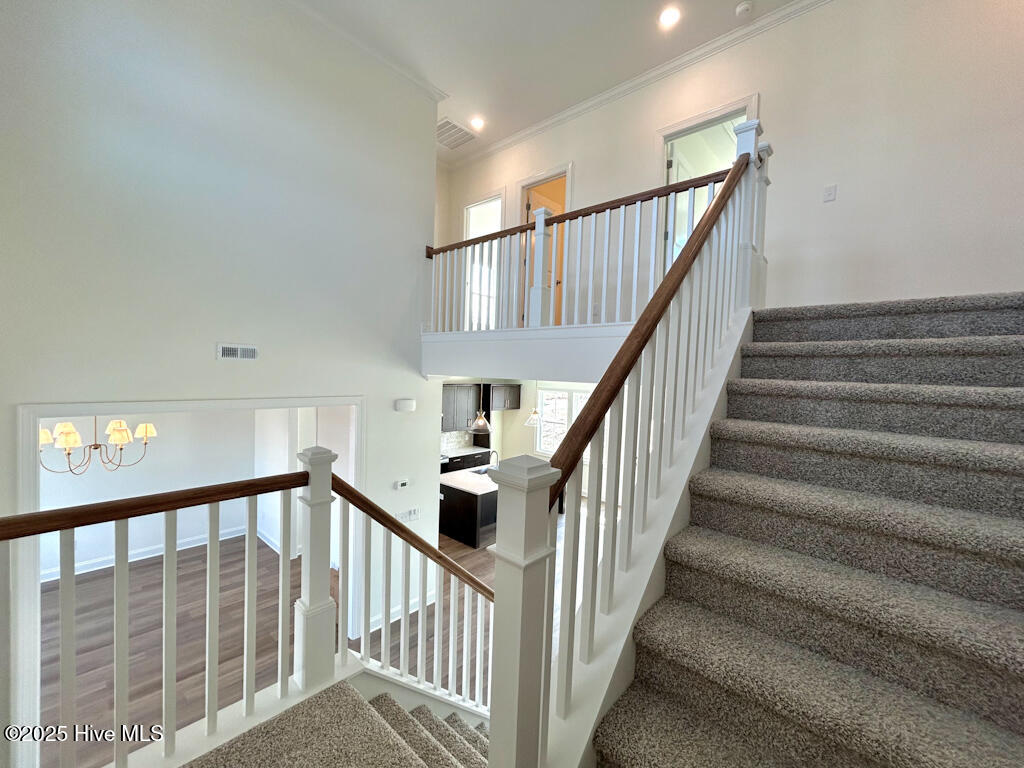 901 Wild Azalea Way Hubert, NC 28539 - Photo 37 of 65 IMG-5032-jpg