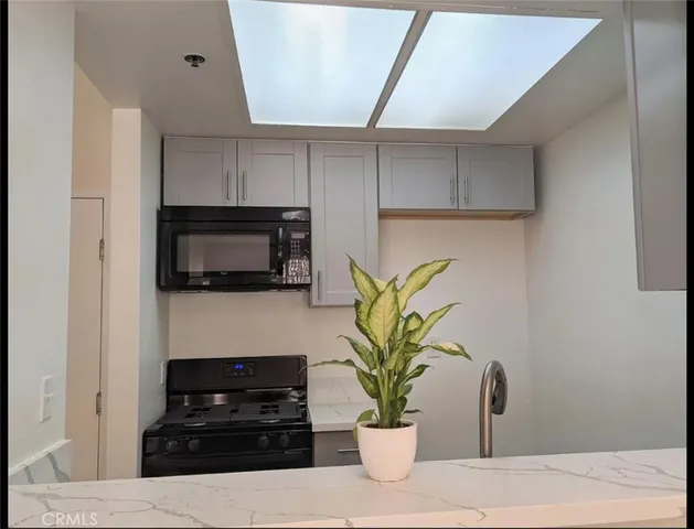 a white kitchen with a potted plant