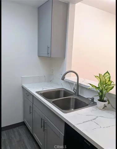 a kitchen with a sink and a potted plant