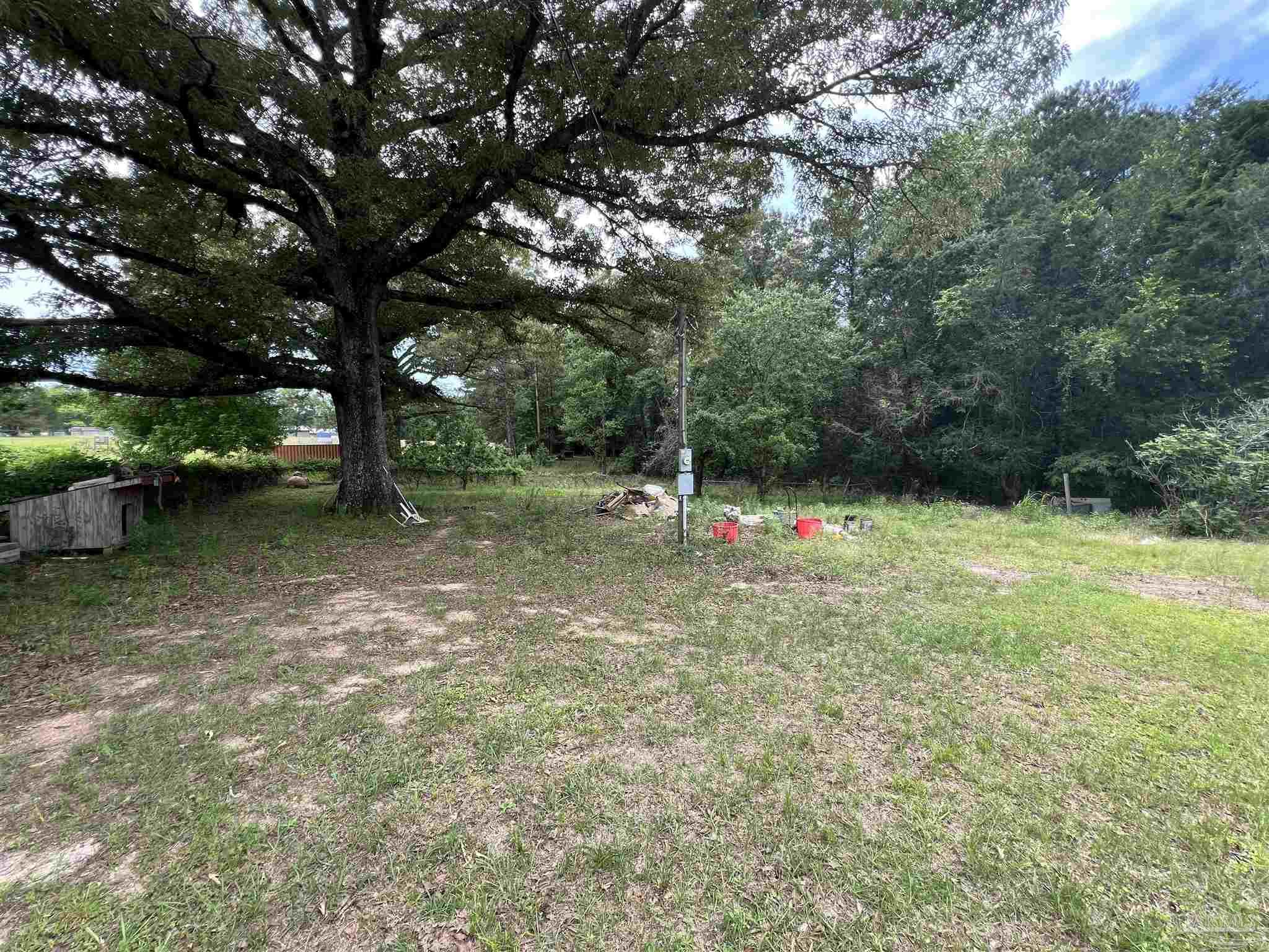 68697 Scranage Road Atmore, AL 36502 - Photo 1 of 9 a backyard of a house with portable swimming pool and trees