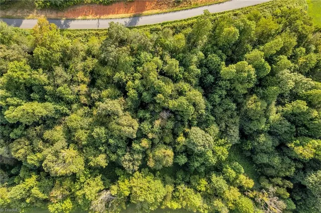 $54,140 | Lot 19 Regal Oaks Drive, Wilkesboro, NC 28697